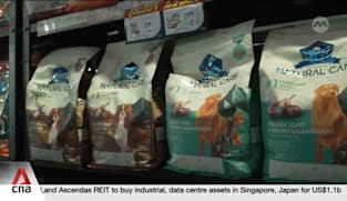 THAILAND'S PET FOOD INDUSTRY: Geopolitical tensions, rising competition risk slowing market growth