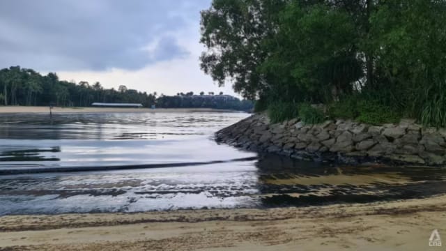 圣淘沙暂停所有海上活动 进行油渍清理工作