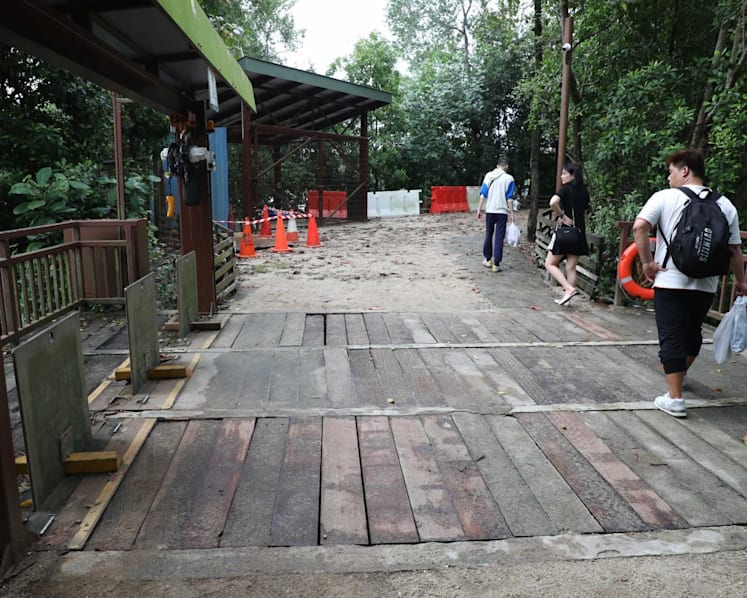 Explainer: What recourse does someone have after getting injured due to external elements at a public park?