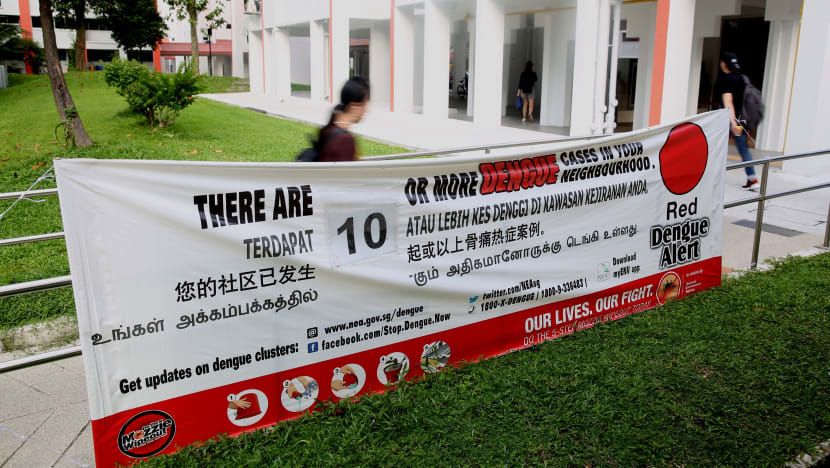 Number of dengue cases in 2020 so far surpasses 2019's total count
