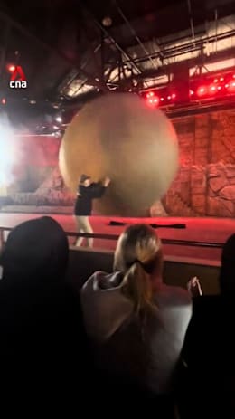 Disney World worker hurt after shielding crowd from 180kg boulder at Indiana Jones show