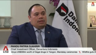 Interview with Pandu Sjahrir, chief investment officer of Indonesian sovereign wealth fund Danantara