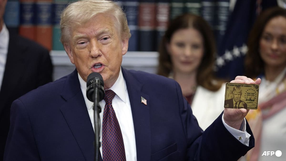 Trump 'gold card' visa granted to one person so far: US commerce chief