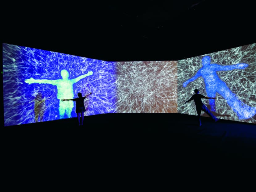 Art and science collide in award-winning exhibition