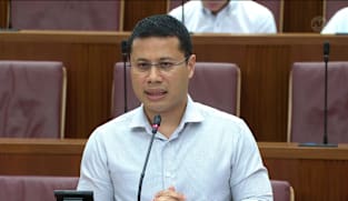 Desmond Lee and Goh Pei Ming respond to MPs on Megan Khung abuse case