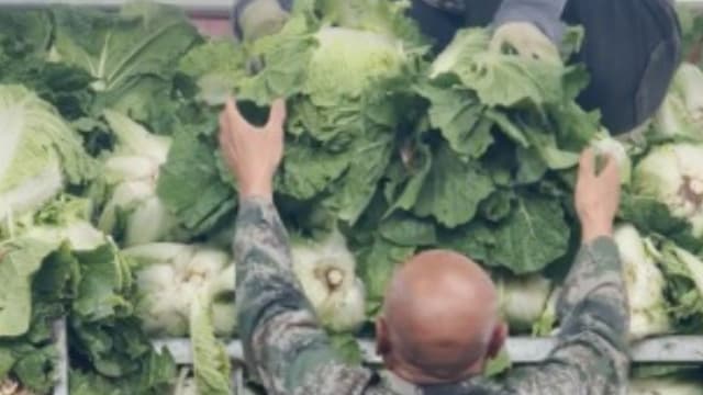 【一文看懂】中国甲醛白菜再现市场 禁用十余年为何仍难杜绝？