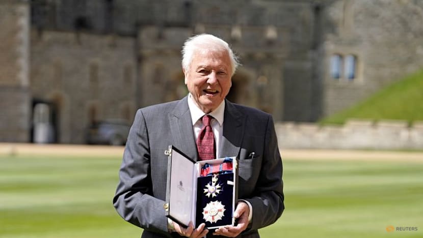 David Attenborough turns 100, 'overwhelmed' by birthday wishes