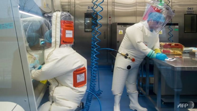 Commentary: Whether COVID-19 came from a lab or animal is beside the point amid US-China diplomatic freeze Commentary: Whether COVID-19 came from a lab or animal is beside the point amid US-China diplomatic freeze