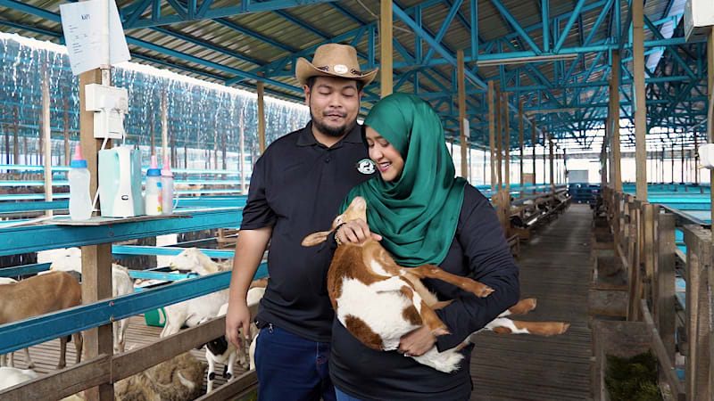From desk jobs to sheep pens: A Singaporean couple’s farming journey in Johor