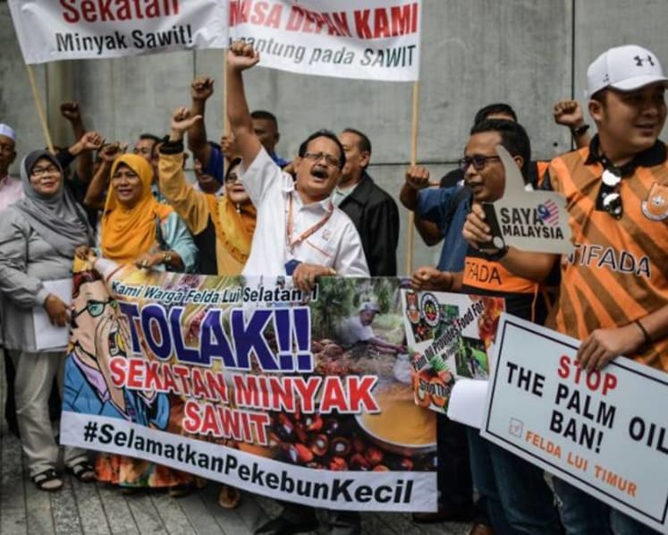 Commentary: Playing palm oil politics ahead of Malaysia’s general elections