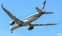 US passenger sues Singapore Airlines, claims allergic reaction to shrimp meal