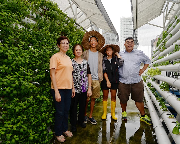 Farming, one rooftop at a time