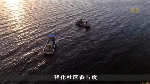 南澳建人工珊瑚礁 应对毒藻危机