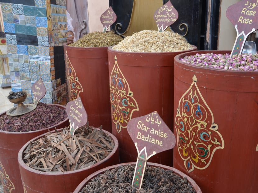 Exploring the red city of Morocco