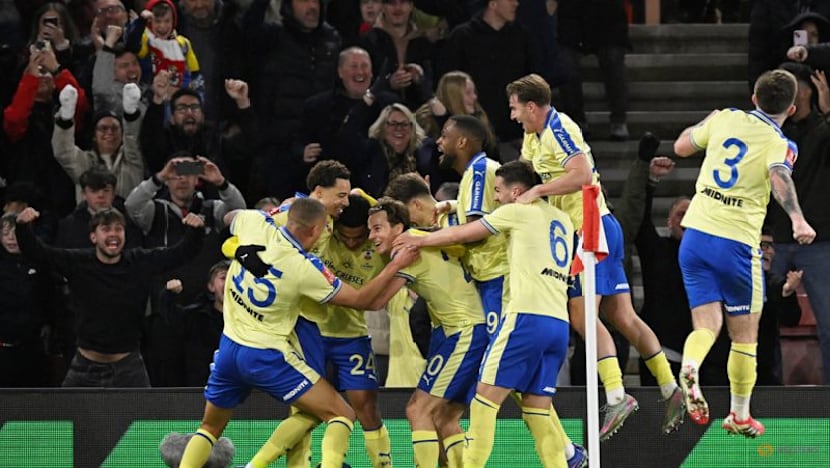 Southampton's Charles nets late winner to stun Arsenal 2-1 in FA Cup