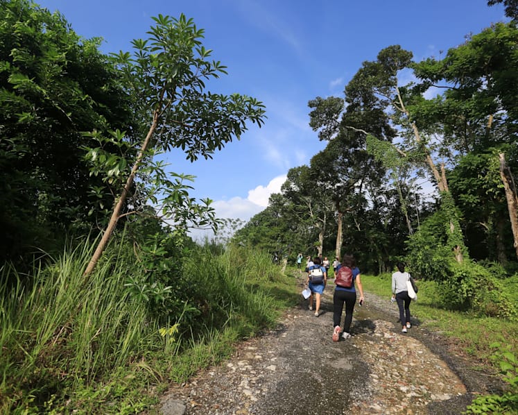 Nature groups propose changes to alleviate environmental impact in Mandai