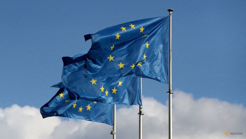 Facing Trump and Musk, EU lawmakers seek sure footing Facing Trump and Musk, EU lawmakers seek sure footing