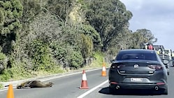 Related article image