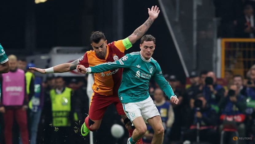 How have the Premier League's big signings fared so far?