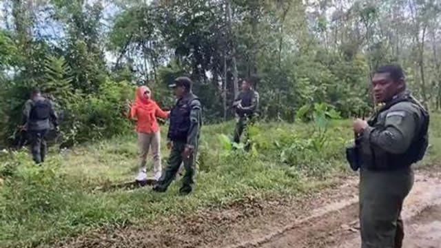 泰国护林员巡逻误踩地雷 惨酿一死二伤