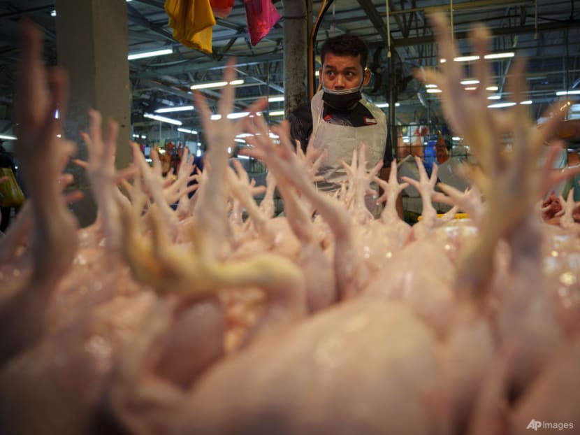 Supply of chickens in Malaysia expected to stabilise from June, says agriculture minister
