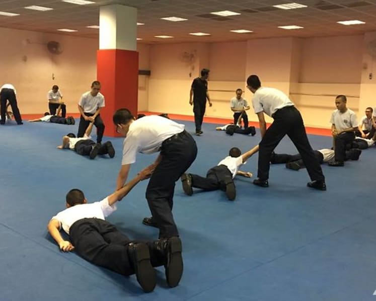 Shooting Tasers and martial arts techniques: How the police make arrests