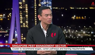 Singapore Tonight - Wed 15 Jul 2026