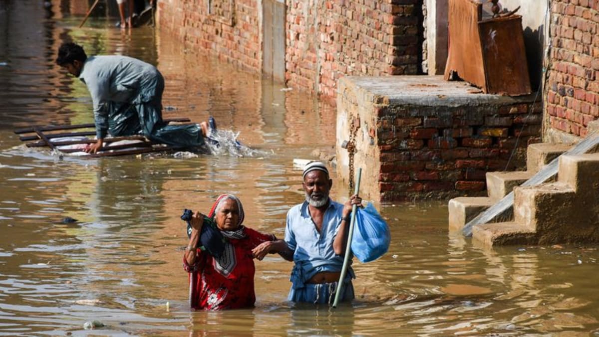 Pakistan lake formed by mountain mudslide threatens ‘catastrophic’ floods