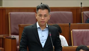 Ng Shi Xuan on motions for grants to support IMF trusts