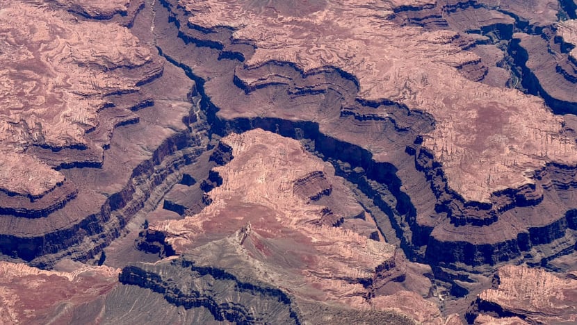 Grand Canyon காட்டுத்தீ - சுற்றுப்பயணிகள் வெளியேற்றம்