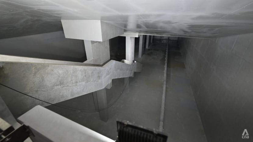 Singapore completes first underground service reservoir, located under Bidadari park Singapore completes first underground service reservoir, located under Bidadari park