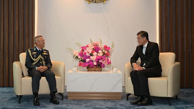 文莱皇家空军司令到访我国 同陈振声会面