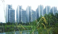 What will it take to revive Forest City, Malaysia’s US$100 billion ‘ghost town’?