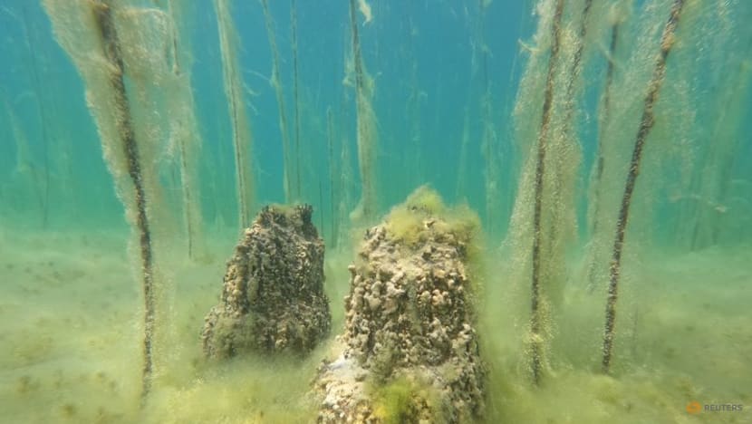 Europe's oldest lake settlement uncovered in Albania
