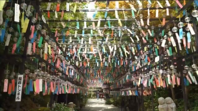 日本寺庙挂1万多个风铃 悦耳铃声为访客带来凉意