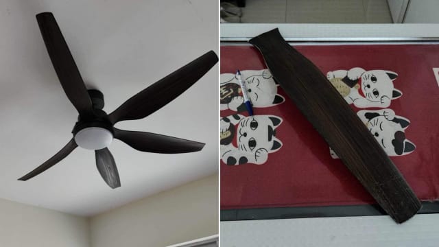 疑螺丝生锈 客厅吊扇一扇叶断裂飞脱