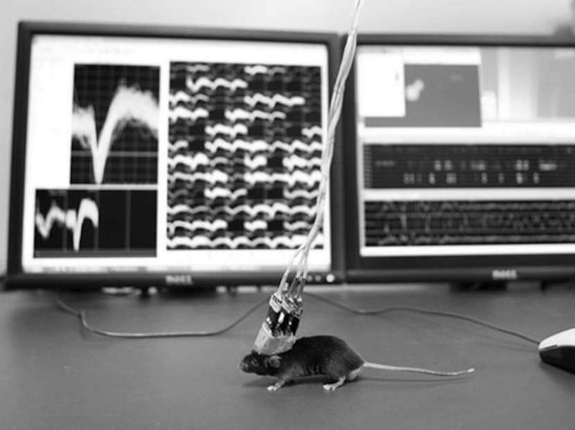The elusive science of addiction
