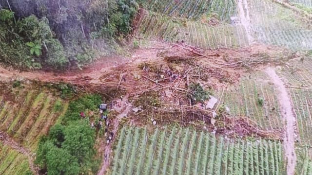 金马仑土崩地点 非法经营菜园逾一年