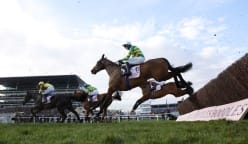 Horse racing-British authority to test for gene doping