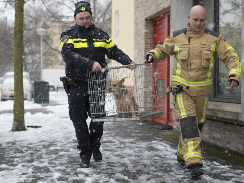 (Left) Mr Erik Smit is one of roughly 250 full-time members of the animal police force in the Netherlands. Photo: The New York Times