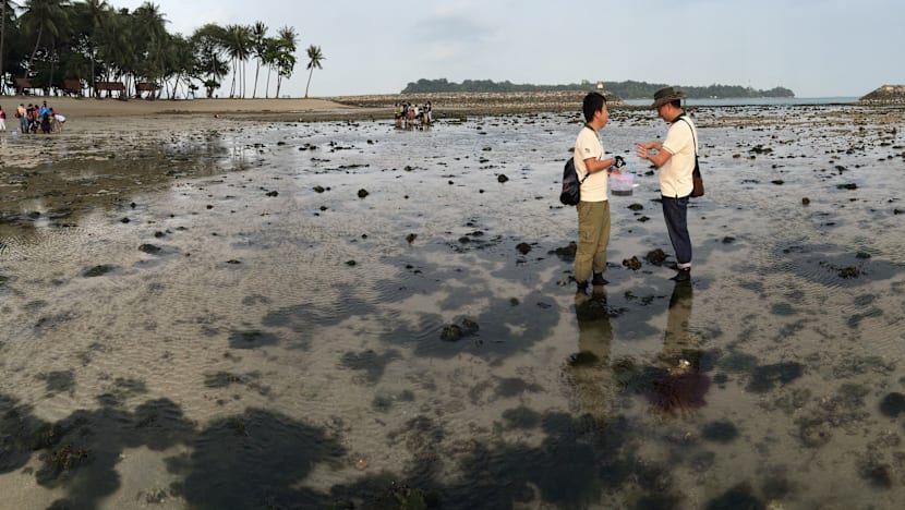 More protection for marine habitats with new conservation plan