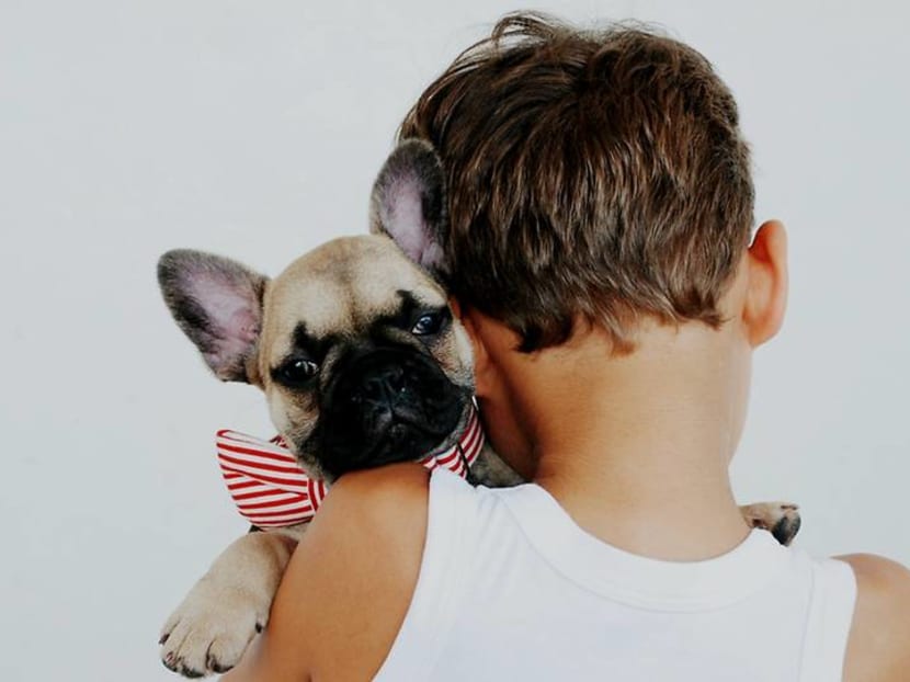 Pet dogs match movements with child owners as sign of emotional bonding