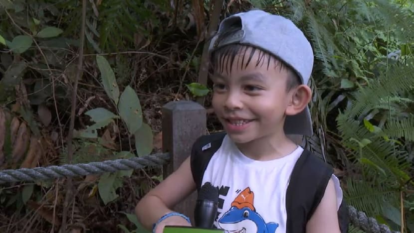 Related article image