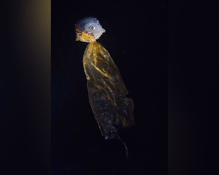 Singaporean photographer clinches top prize at global competition with image of mollusk and plastic bag 