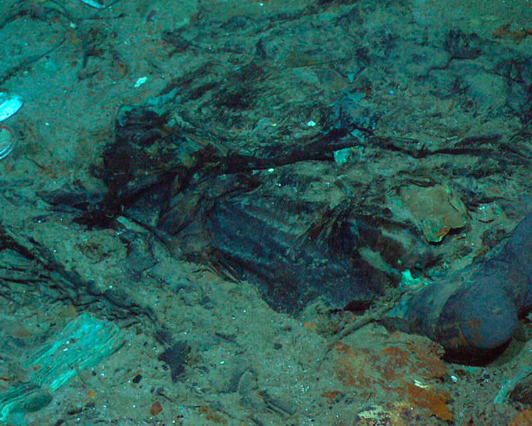 Former Titanic sub customer says his dive was a 'kamikaze operation'
