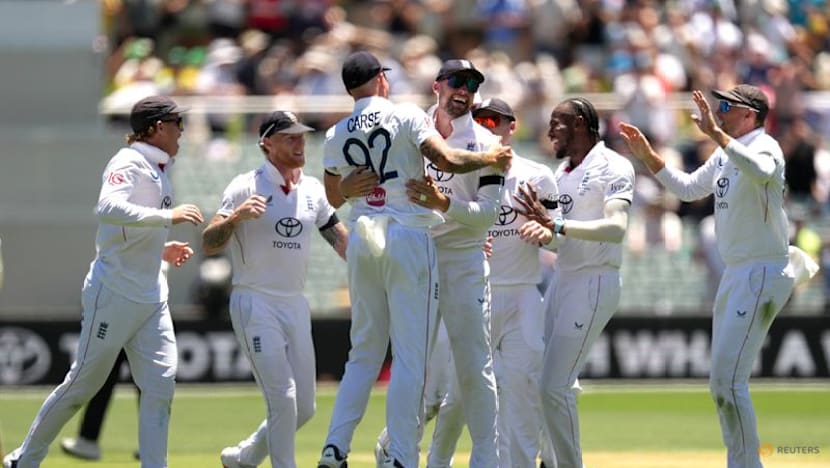 Carey goes from Ashes villain to hero with century in Adelaide heat