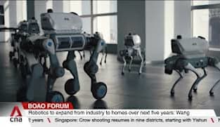 China’s humanoid robots: How close are we to real-world use?