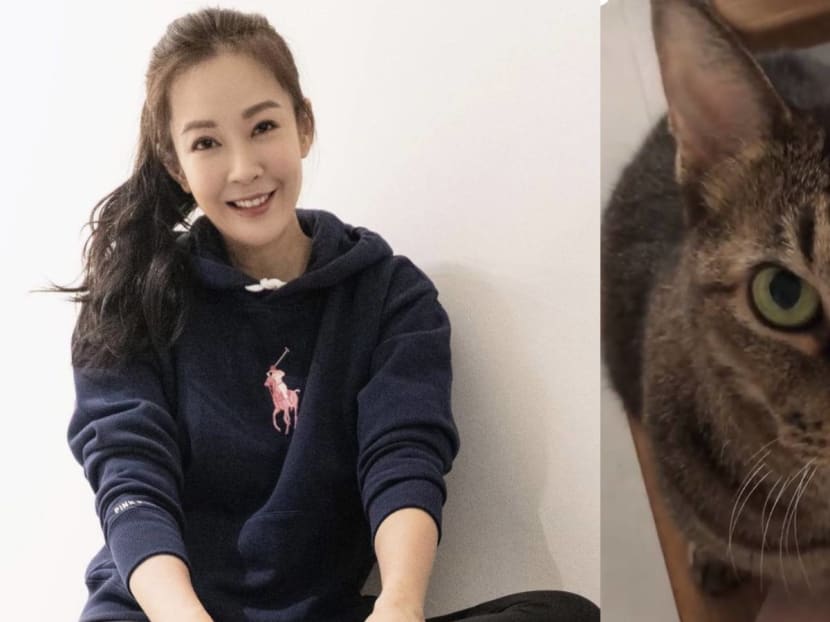 Jesseca's dedication to her cat Crusso will make you want to hug your pet.