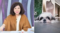 Taiwanese media personality sisy chen dog saves her life