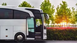 Related article image